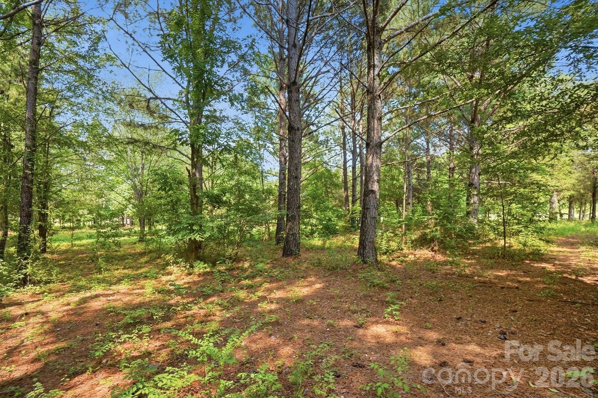 650 State Rd S-46-167 York, SC 29745 - Photo 40 of 44