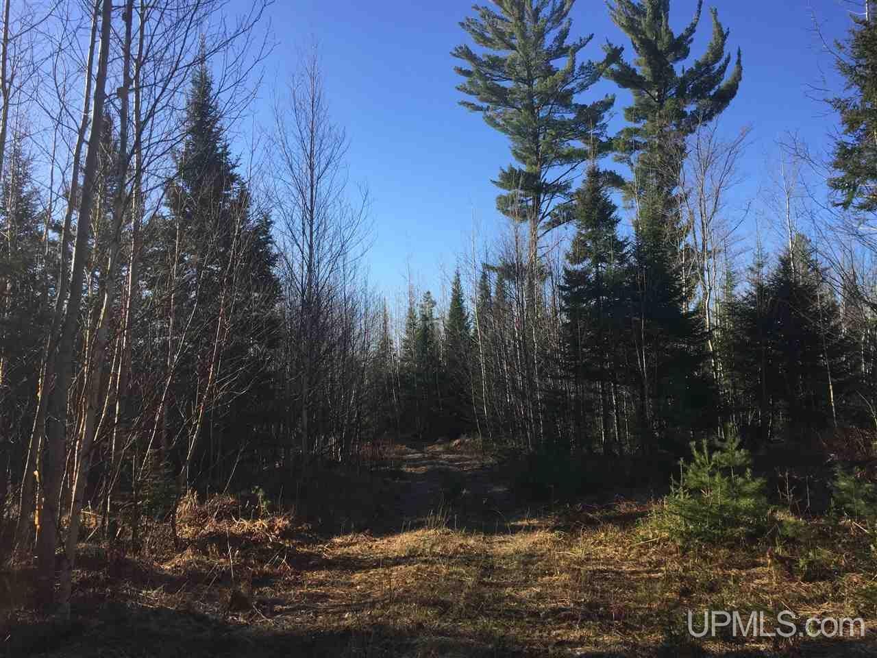478 Rd Ishpeming Mi 49849 Road, Unit S80 Ishpeming, MI 49849 - Photo 4 of 18 Gallery Image 4
