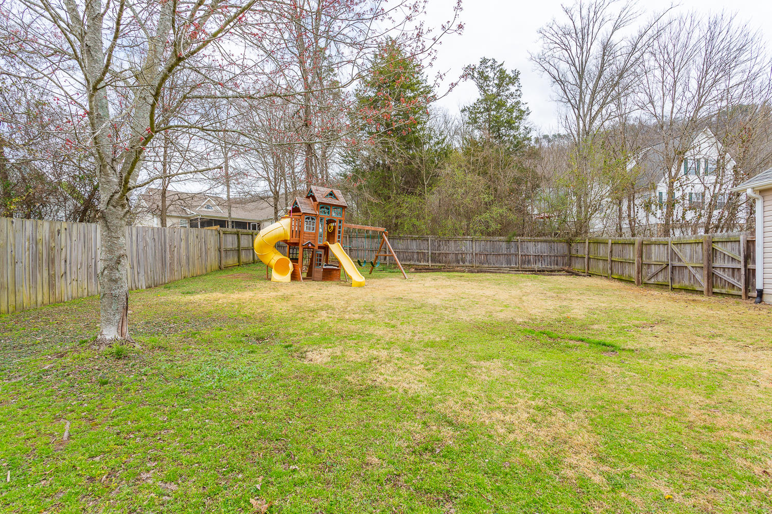 789 Cardinal Road Ringgold, GA 30736 - Photo 34 of 40 Cardinal HD_-9