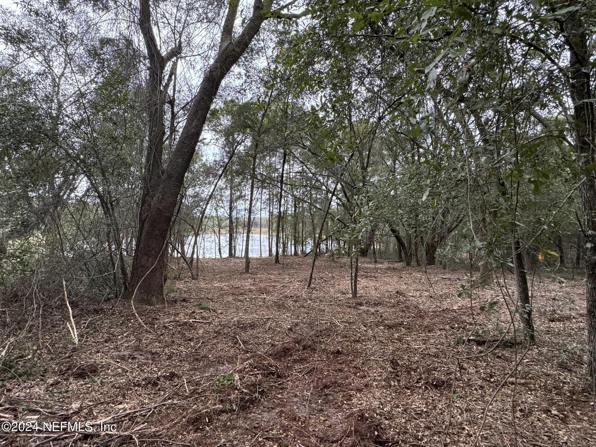 6056 County Road 214 Keystone Heights, FL 32656 - Photo 3 of 7 View from the ground