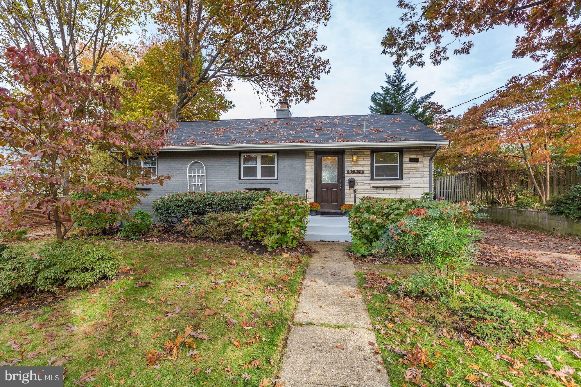 10205 Procter Street Silver Spring, MD 20901 - Photo 3 of 38 a front view of house with yard and trees around