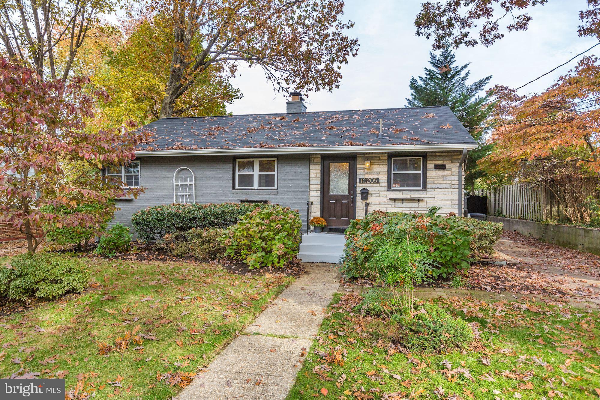 10205 Procter Street Silver Spring, MD 20901 - Photo 37 of 38 a front view of a house with garden