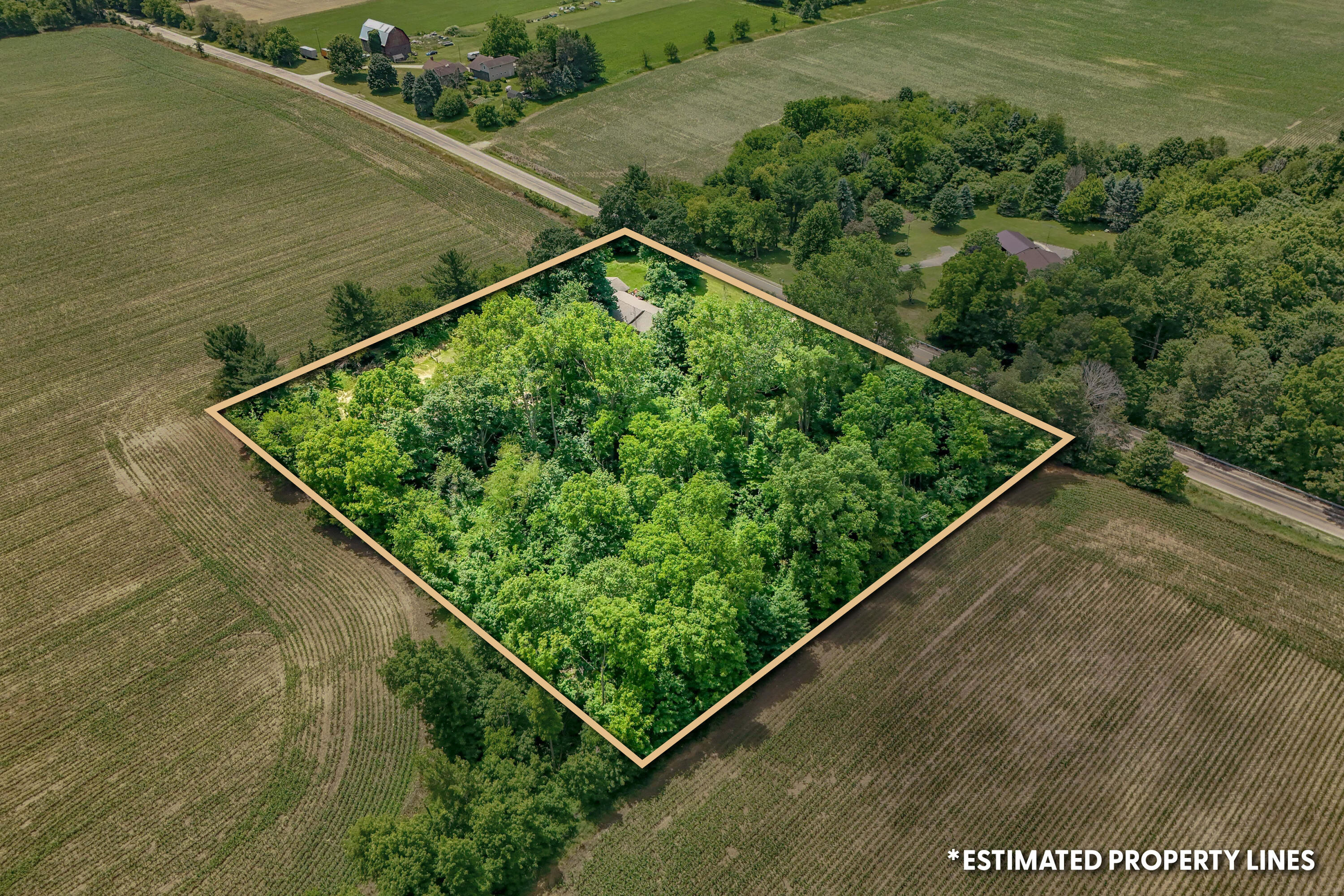 7051 Long Lake Road Reading, MI 49274 - Photo 52 of 54