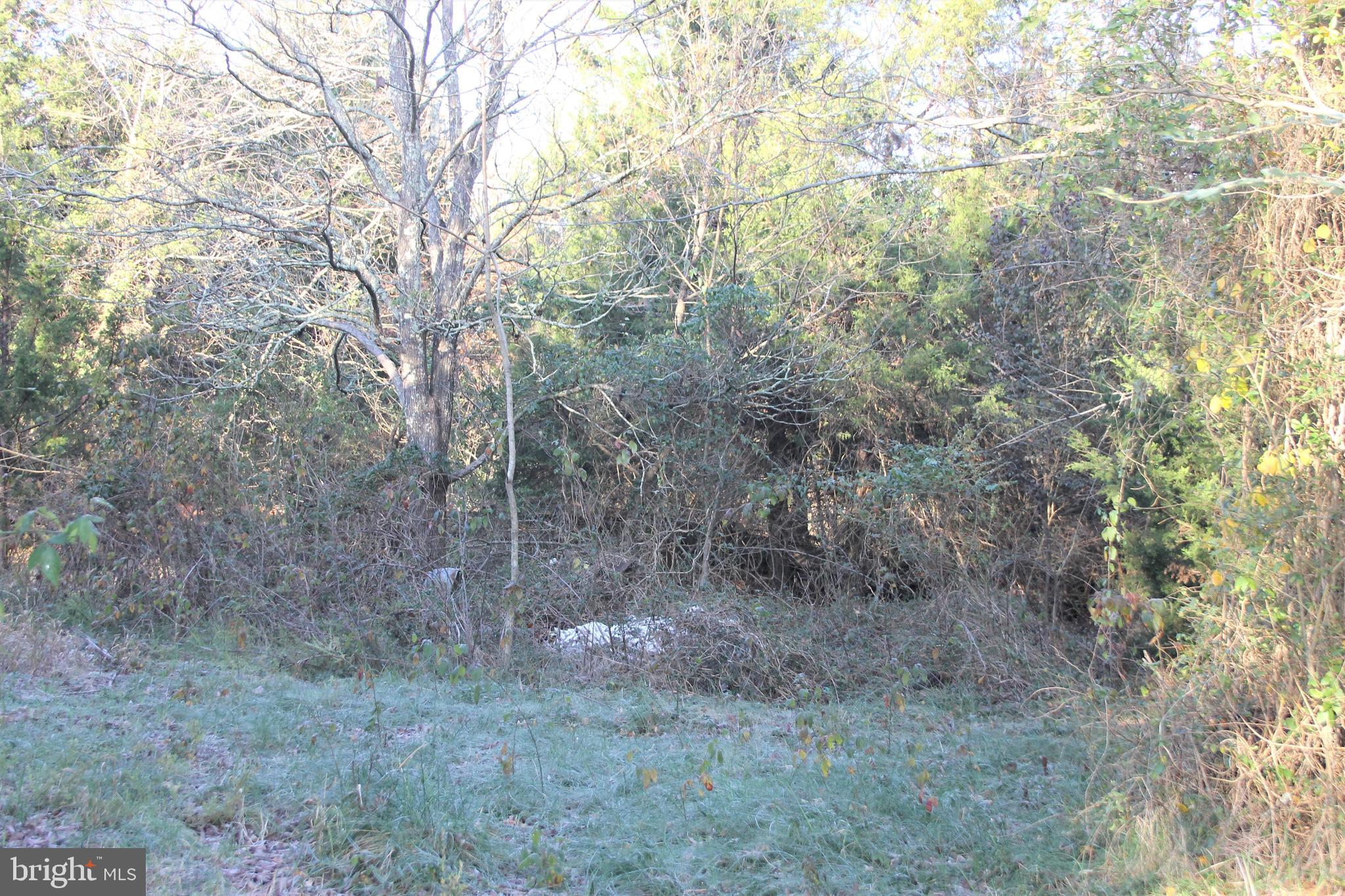 5150 Catlett Road Midland, VA 22728 - Photo 3 of 9 Area of perc site