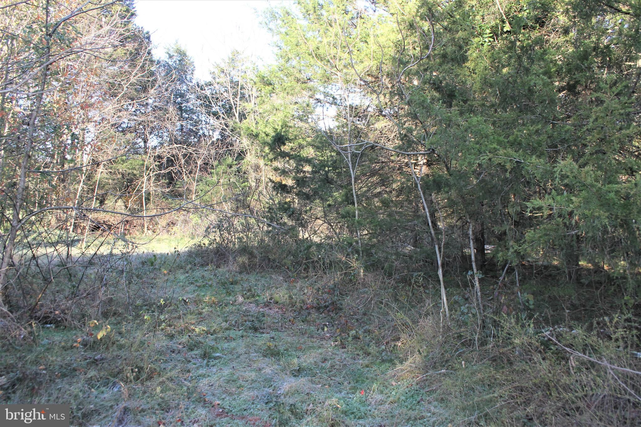5150 Catlett Road Midland, VA 22728 - Photo 4 of 9 Property