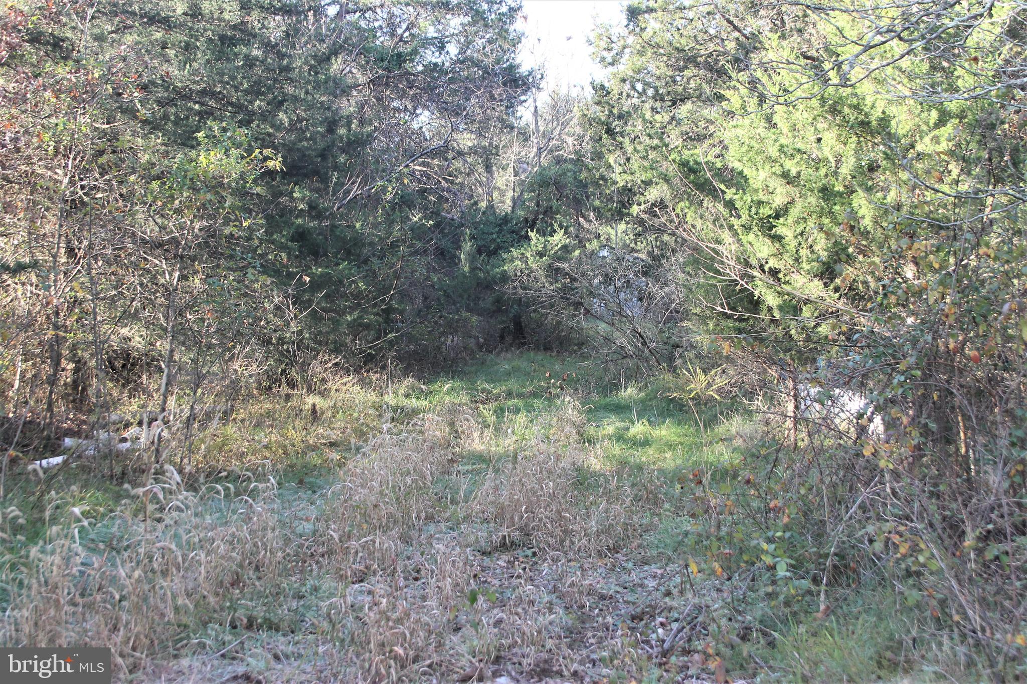 5150 Catlett Road Midland, VA 22728 - Photo 7 of 9 Property