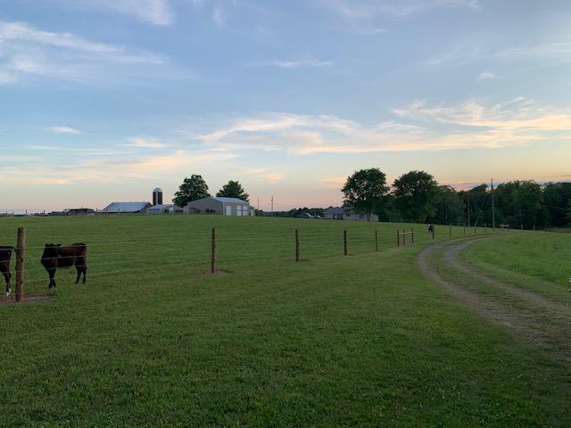 630 R Grider Road Russell Springs, KY 42642 - Photo 50 of 51 IMG_2613