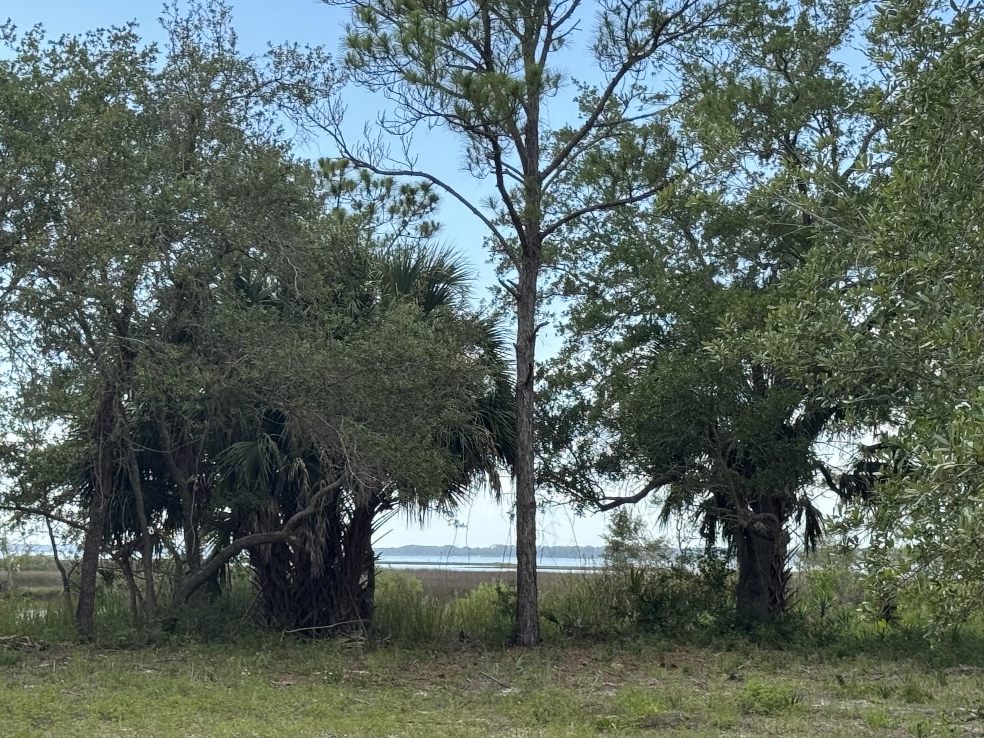 1272 Angus Morrison Road Alligator Point, FL 32346 - Photo 8 of 20