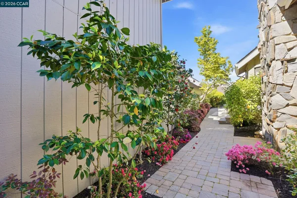 a flower plants with potted plants in front of door