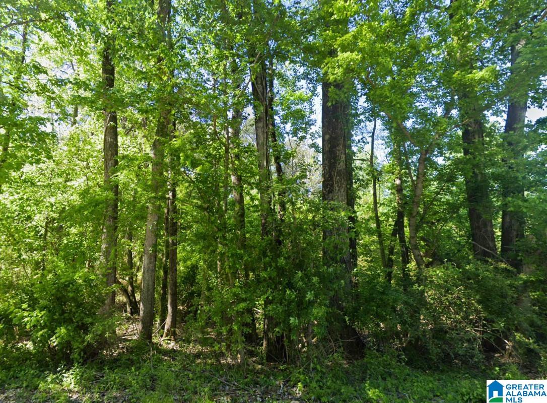 0 Glovers Ferry Road Alpine, AL 35014 - Photo 1 of 12
