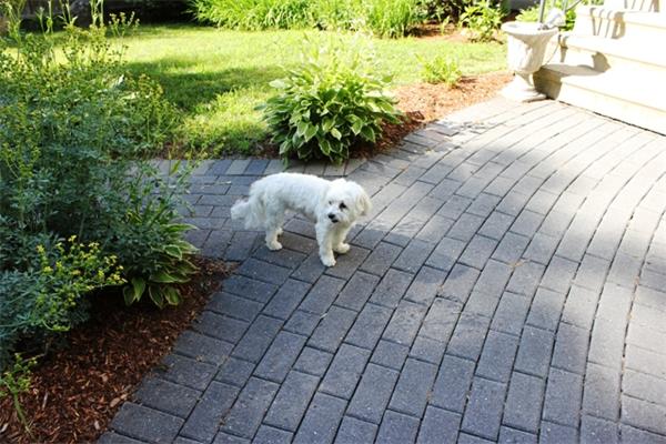 132 Acropolis Road Lowell, MA 01854 - Photo 30 of 30 Gallery Image 30