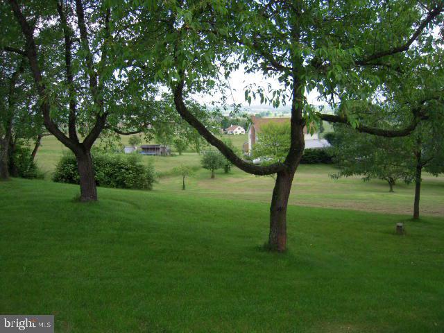 300 Lawn Road Palmyra, PA 17078 - Photo 4 of 20 Gallery Image 4