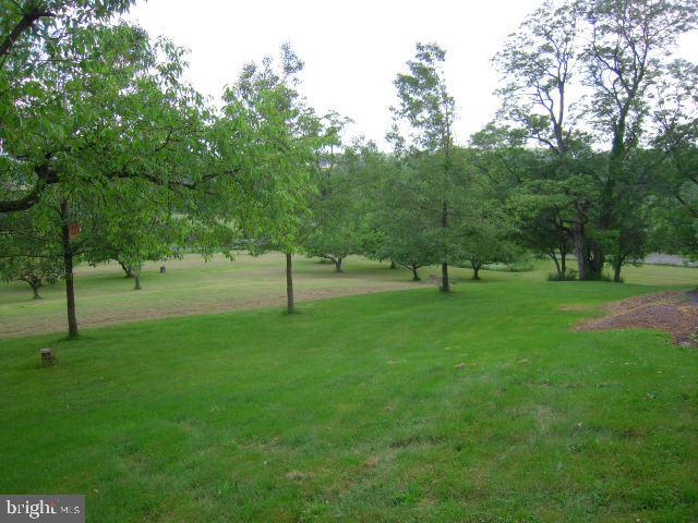 300 Lawn Road Palmyra, PA 17078 - Photo 5 of 20 Gallery Image 5