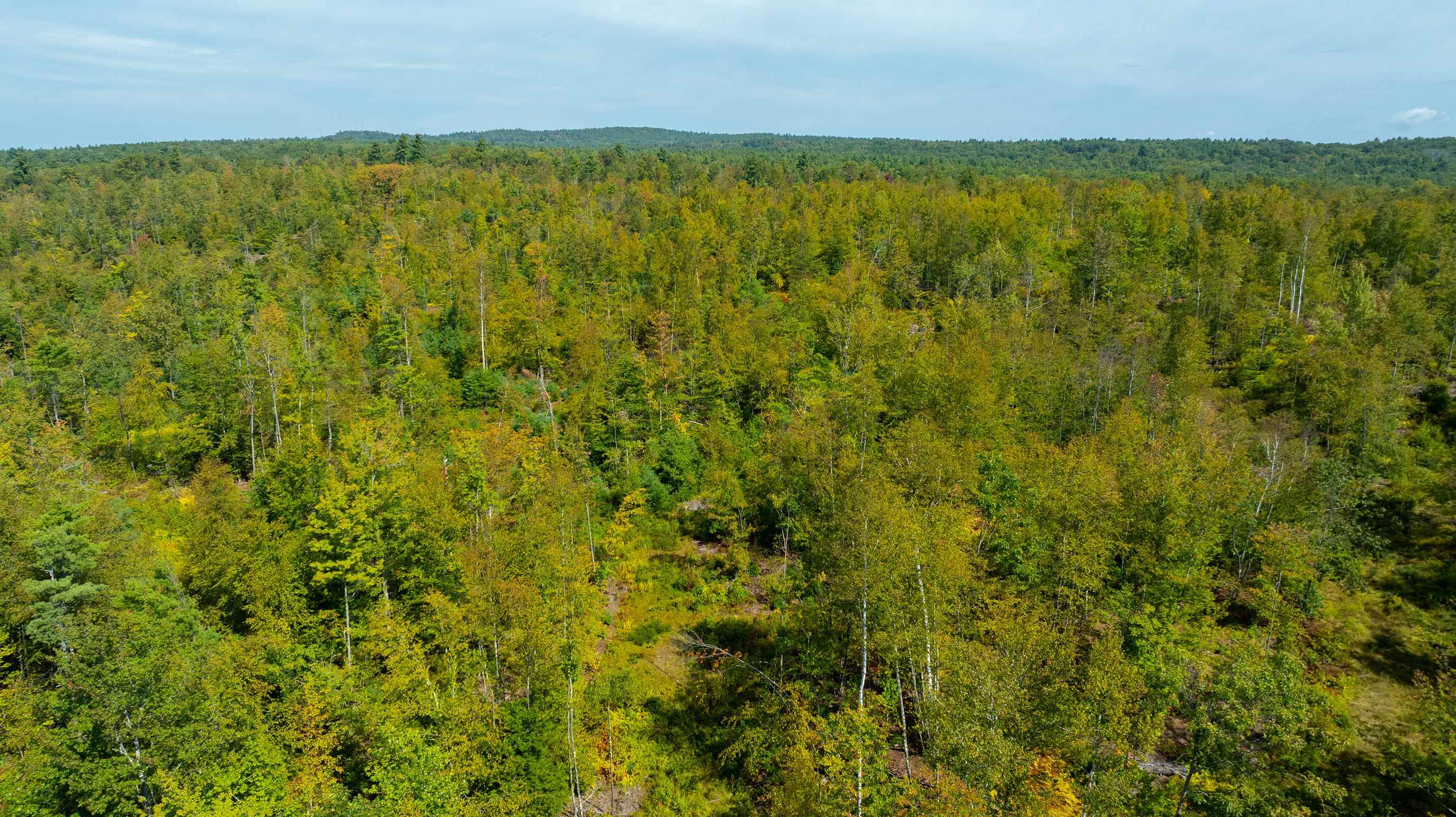 401 Sixth Range Road Pembroke, NH 03275 - Photo 16 of 19