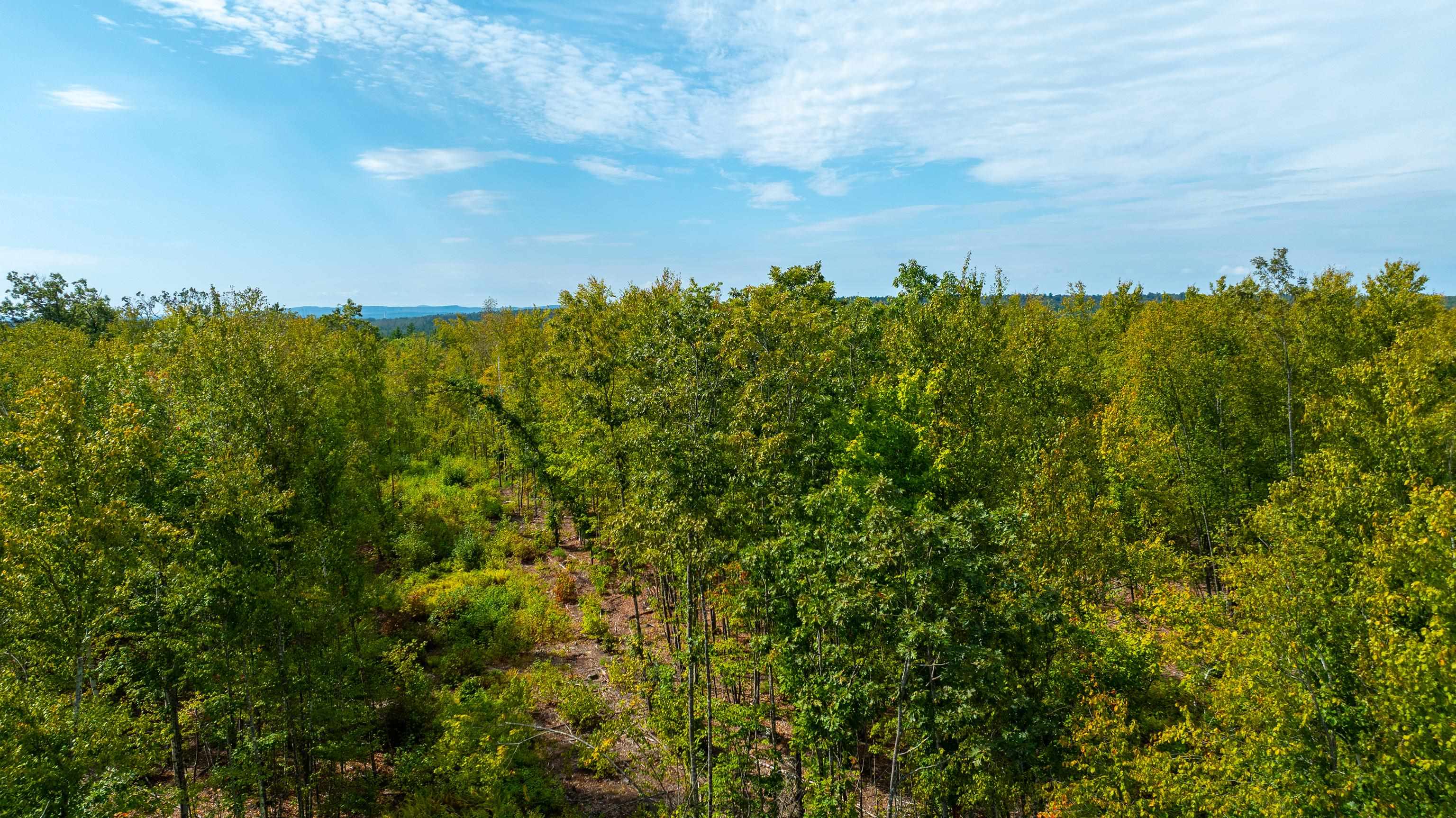 401 Sixth Range Road Pembroke, NH 03275 - Photo 5 of 19