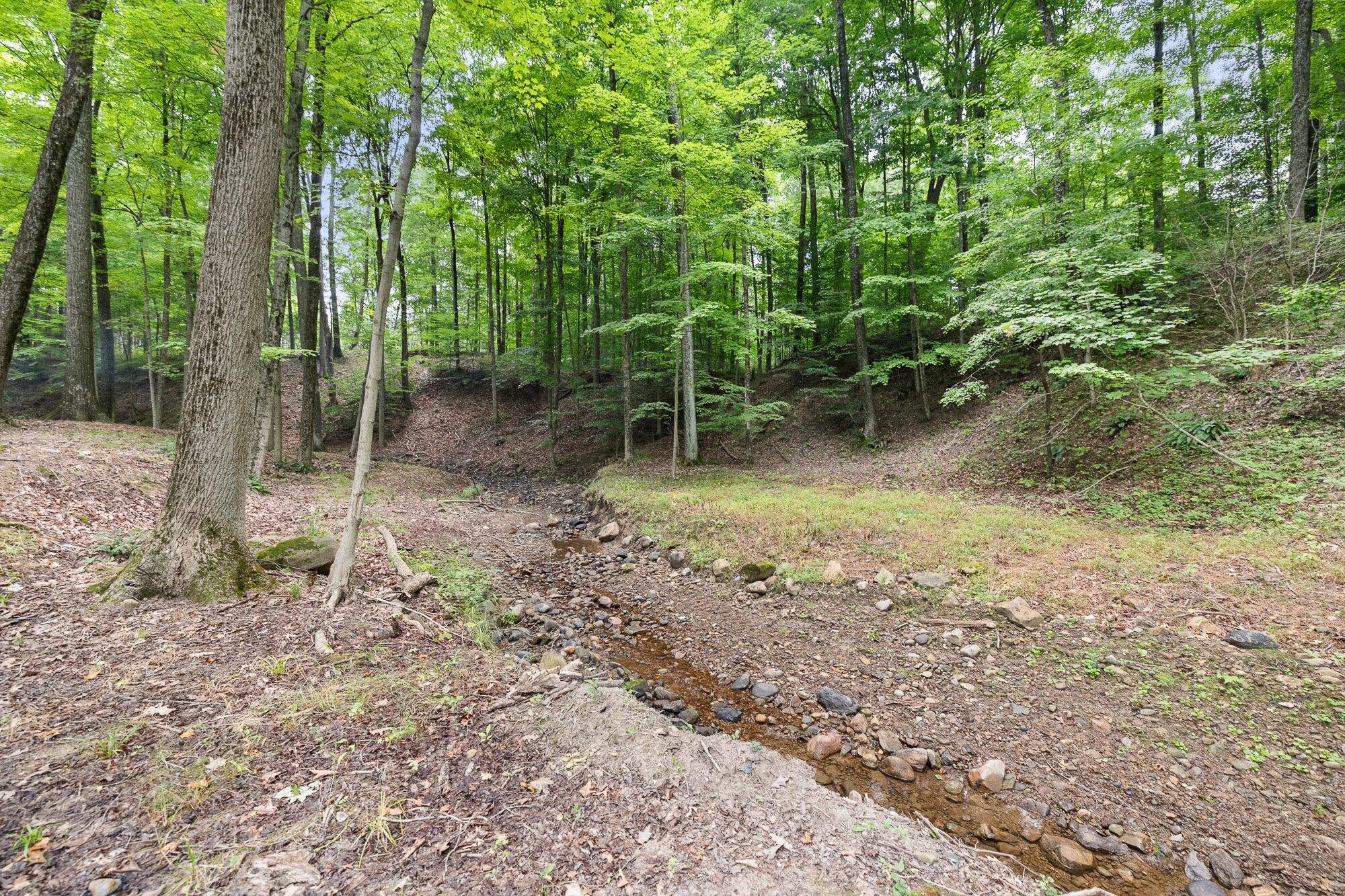 1833 East Hanley Road Mansfield, OH 44903 - Photo 82 of 94 76-ext-creek