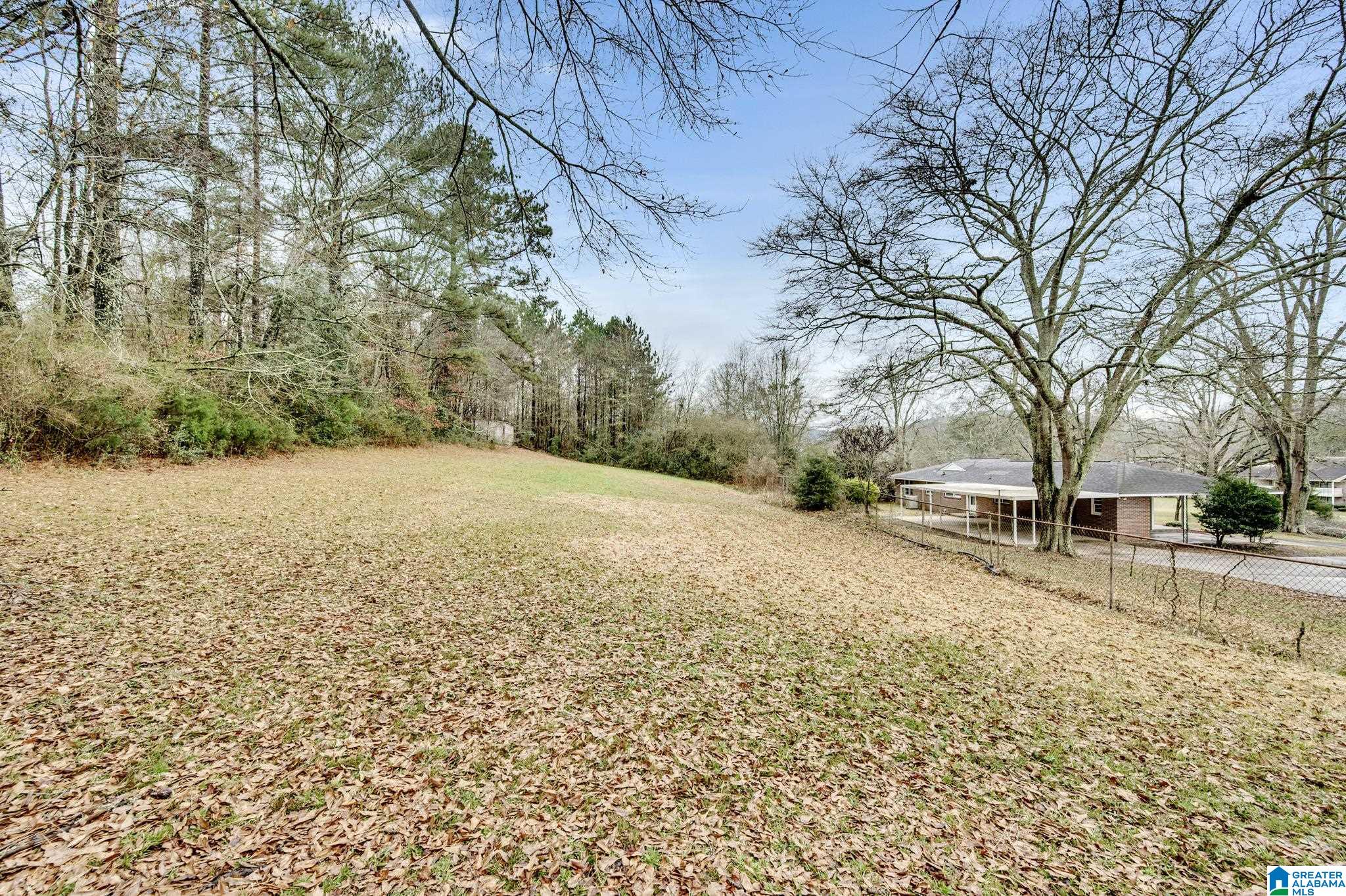 684 Valley Road Oneonta, AL 35121 - Photo 33 of 48