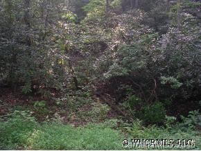 999 Joe Bailey Road Fairview, NC 28730 - Photo 3 of 4 Gallery Image 3