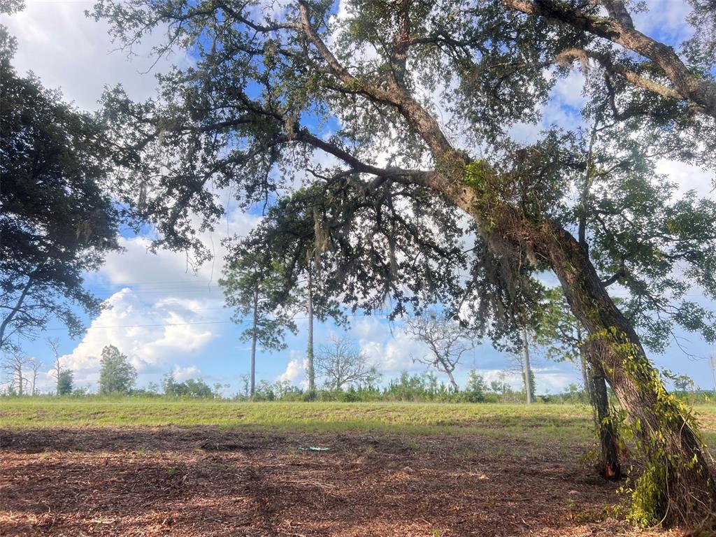 Levy Street Williston, FL 32696 - Photo 25 of 26