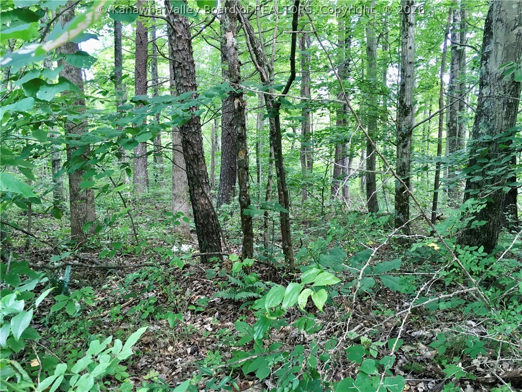 3001 Spicewood Road Kenna, WV 25248 - Photo 40 of 44 Gallery Image 40