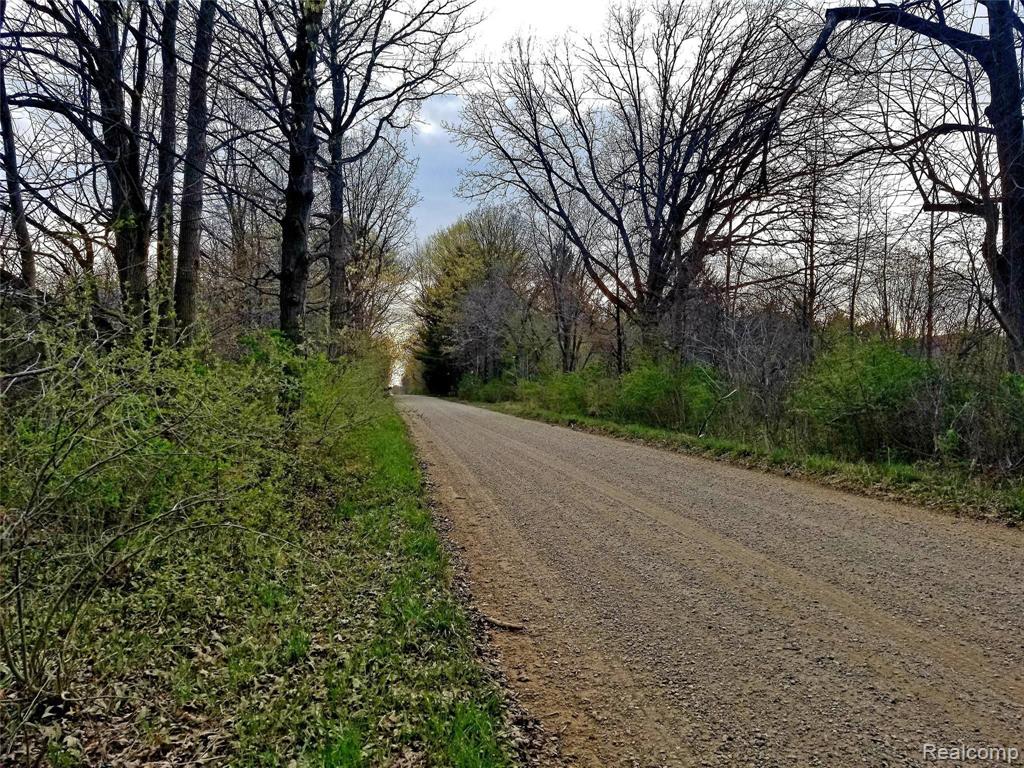 0 Rynn Road Emmett, MI 48022 - Photo 2 of 3