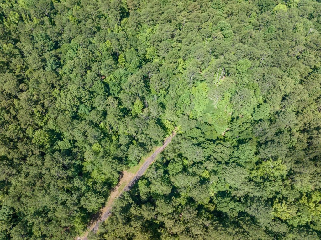 9250-7 River Road Fortson, GA 31808 - Photo 6 of 6