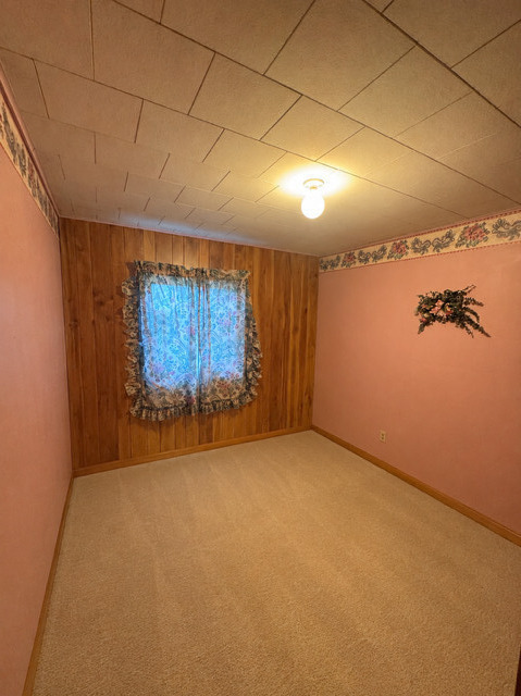 1031 North Newaygo Road Bailey, MI 49303 - Photo 9 of 16 image0 (9)