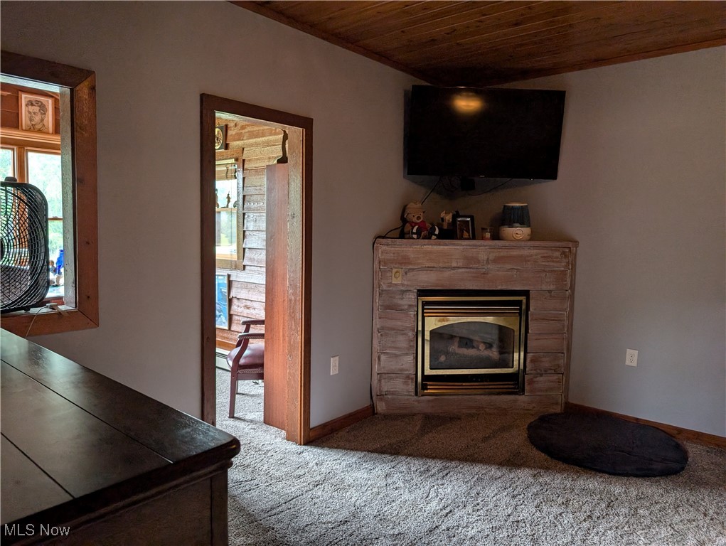 46136 Carlisle Road Lisbon, OH 44432 - Photo 41 of 48 Carpeted living room featuring wood ceiling