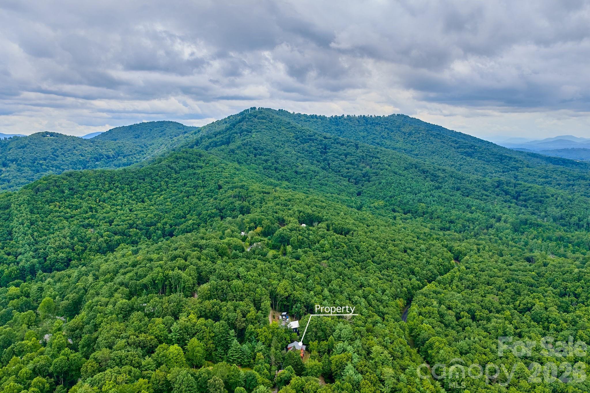 150 Avondale Ridge Road Asheville, NC 28803 - Photo 20 of 45 a view of a big yard with lots of green space