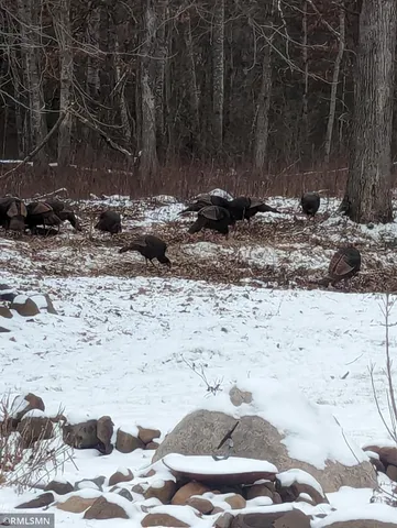 $575,000 | 14638 Highway 70, Pine City, MN 55063