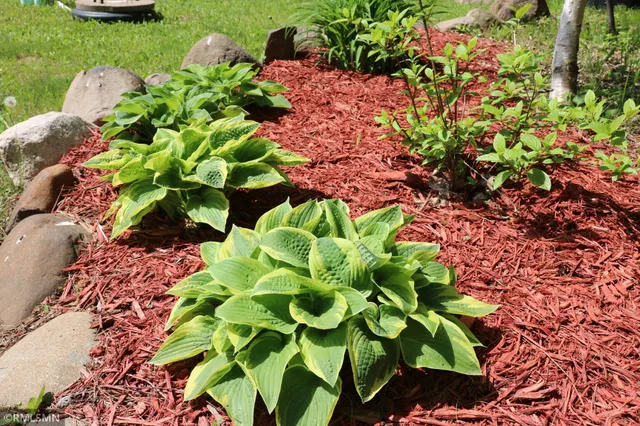 $575,000 | 14638 Highway 70, Pine City, MN 55063