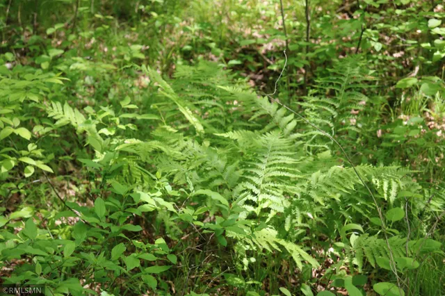 $575,000 | 14638 Highway 70, Pine City, MN 55063