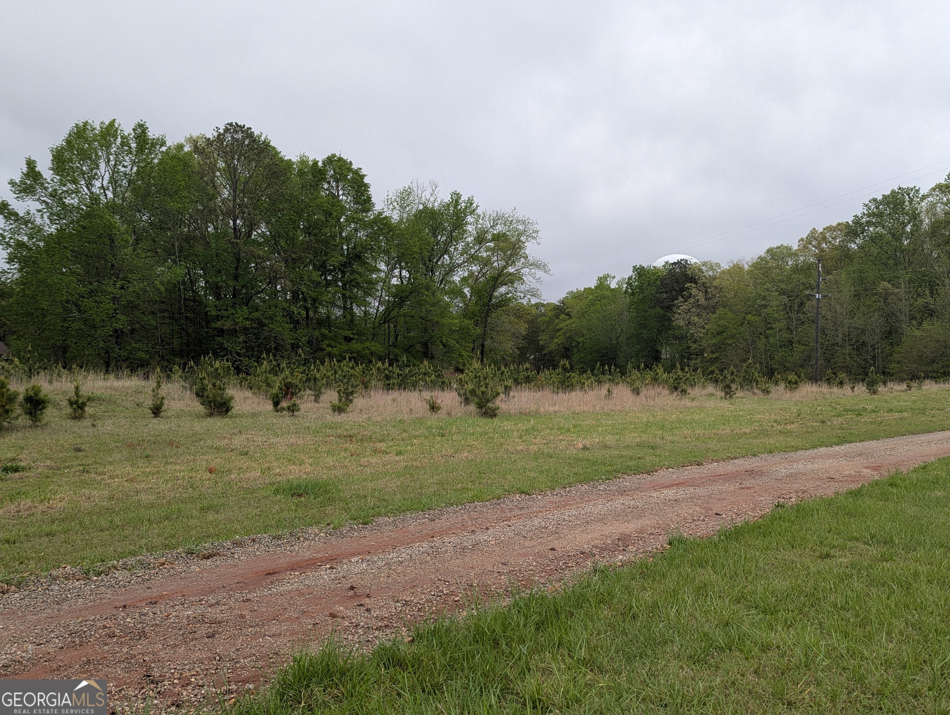 a view of a field with trees in background