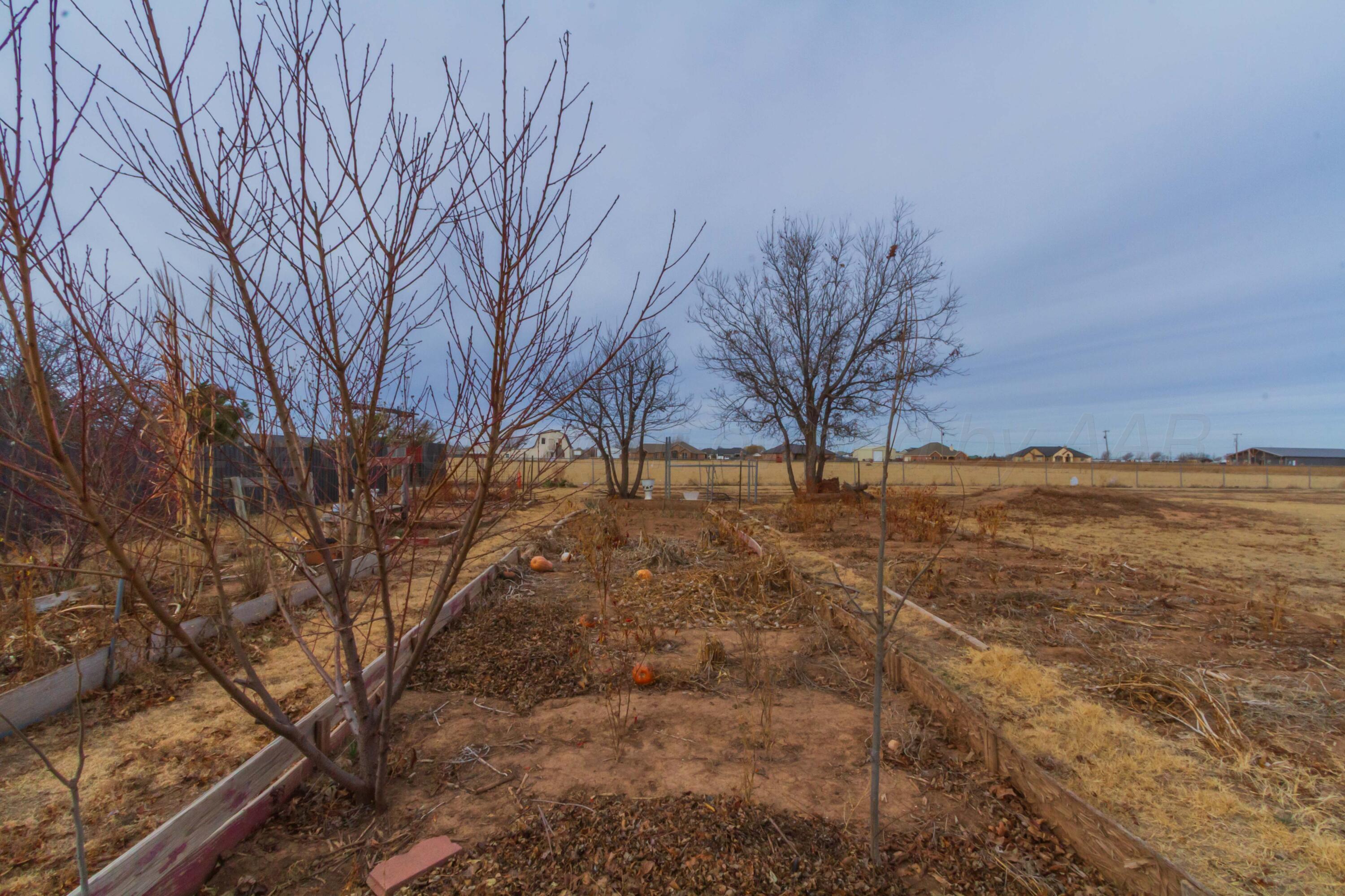 7850 Back Acres Road Amarillo, TX 79119 - Photo 39 of 52 LAND VIEW 1