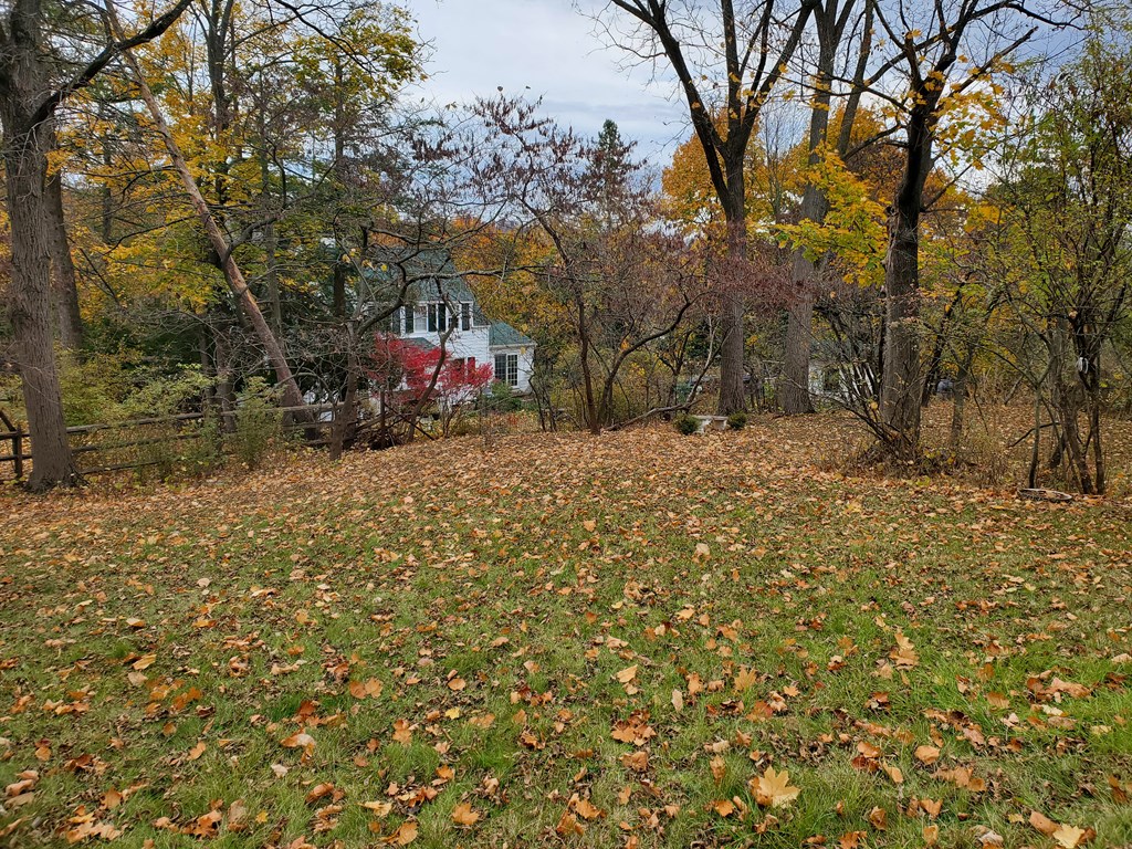 317 Mitchell Street Ithaca, NY 14850 - Photo 3 of 29