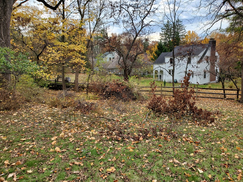 317 Mitchell Street Ithaca, NY 14850 - Photo 4 of 29