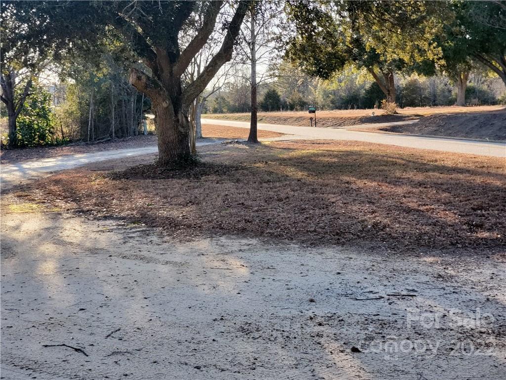 204 Davis Rivers Road Chesterfield, SC 29709 - Photo 7 of 42 a view of dirt yard with a tree