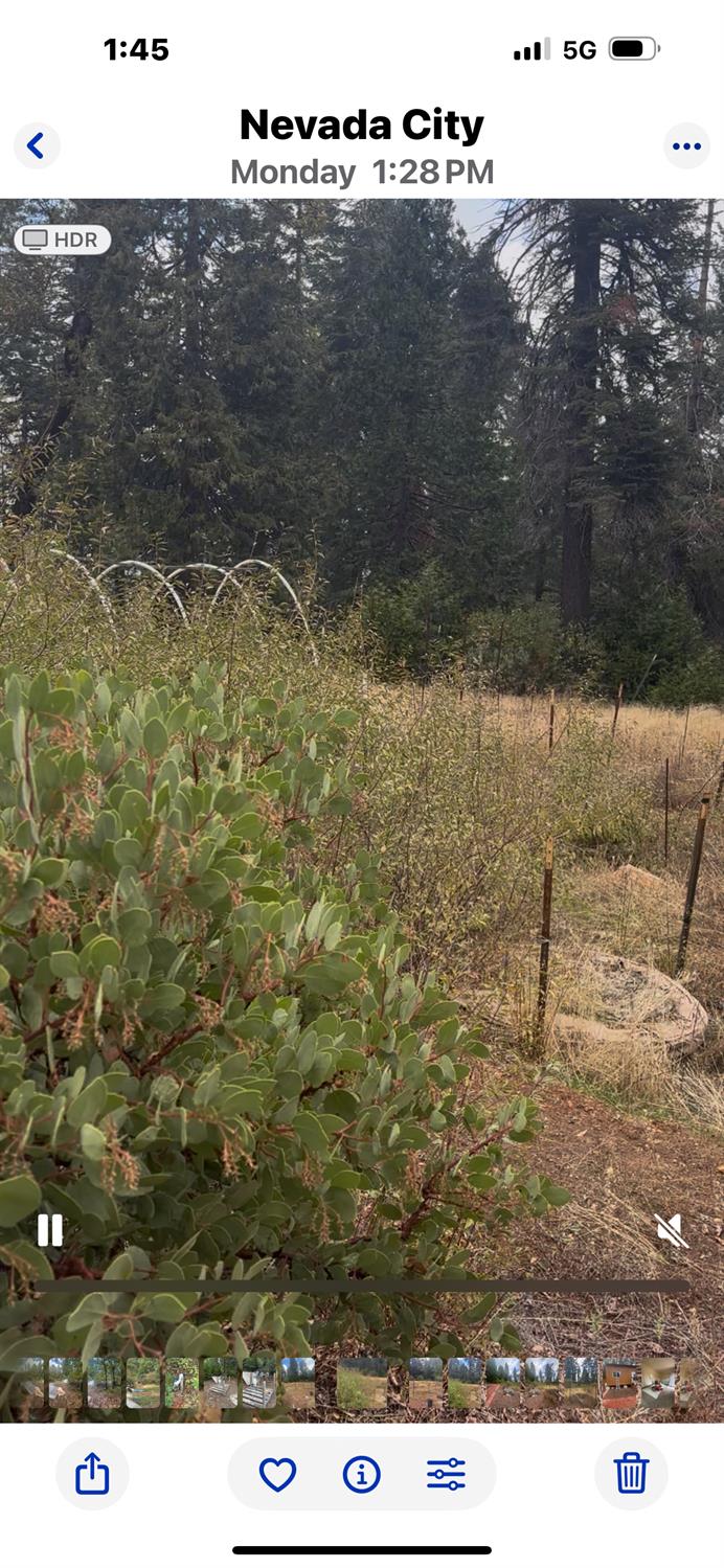 23324 Banner Quaker Hill Road Nevada City, CA 95959 - Photo 3 of 13 a picture of city