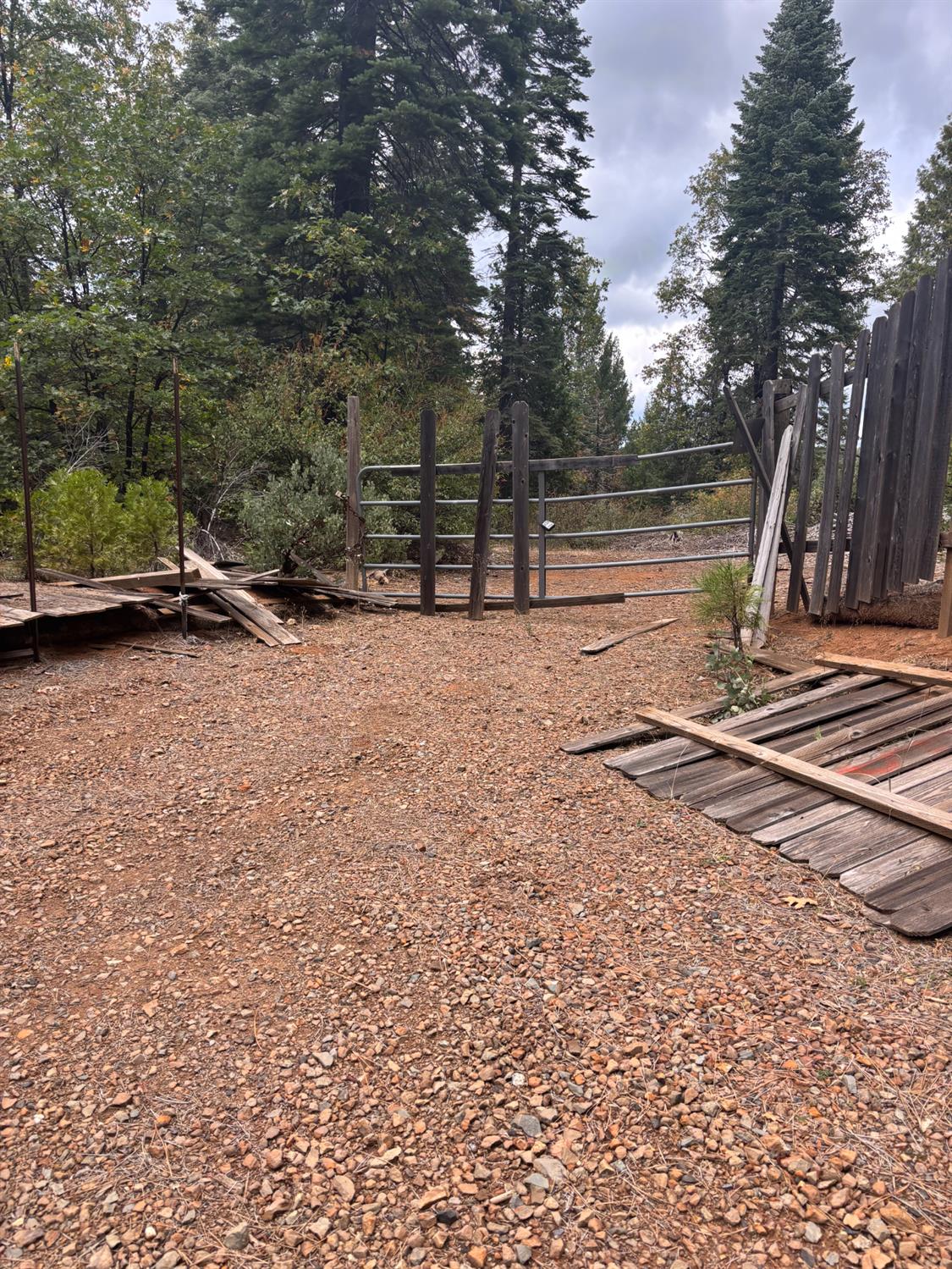 23324 Banner Quaker Hill Road Nevada City, CA 95959 - Photo 4 of 13 a backyard of a house with portable swings and slides