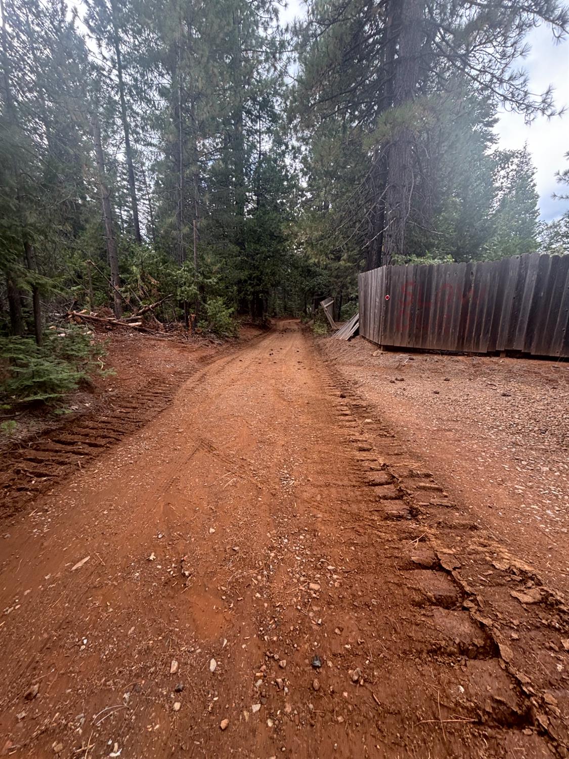 23324 Banner Quaker Hill Road Nevada City, CA 95959 - Photo 5 of 13 a backyard of a house