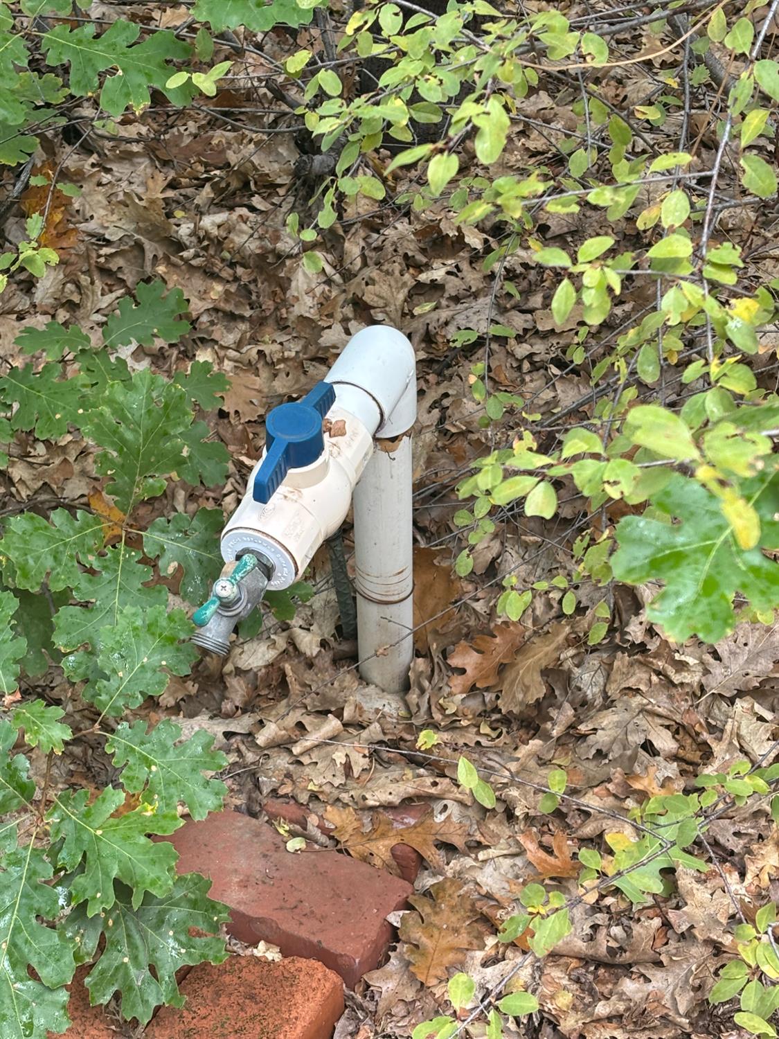 23324 Banner Quaker Hill Road Nevada City, CA 95959 - Photo 7 of 13 a toilet is sitting in a backyard