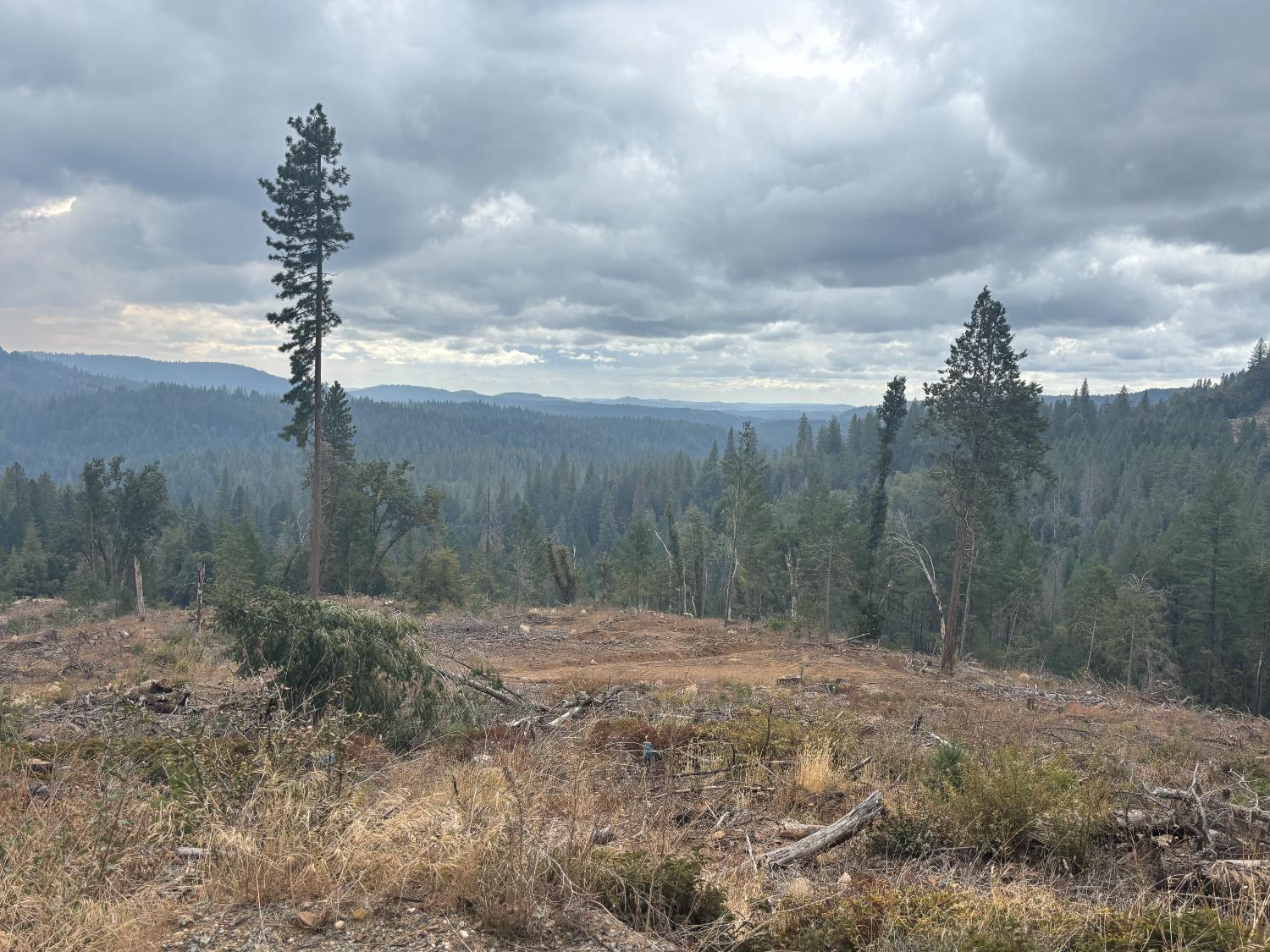 23324 Banner Quaker Hill Road Nevada City, CA 95959 - Photo 8 of 13 a view of a pathway with a wrought fence