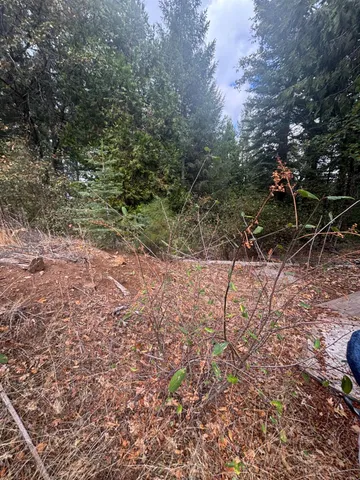 a view of backyard with green space
