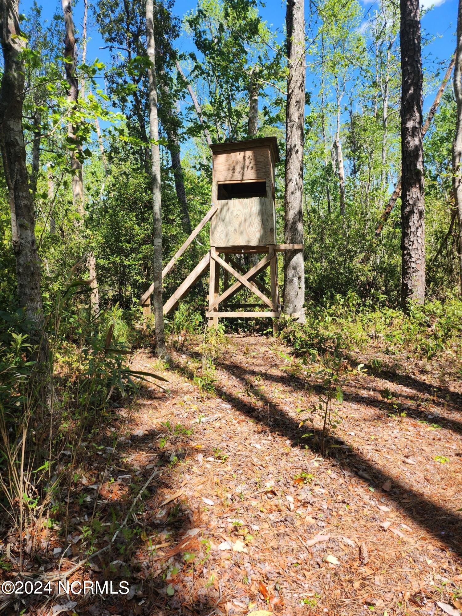 1238 Lake Road Newport, NC 28570 - Photo 22 of 24 Deer Stand
