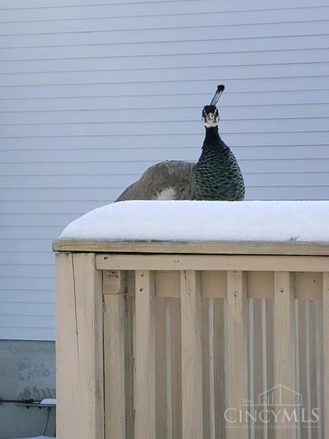 5856 Blue Rock Road Cincinnati, OH 45247 - Photo 48 of 51 Even a Peacock has been known to show up in this oasis!