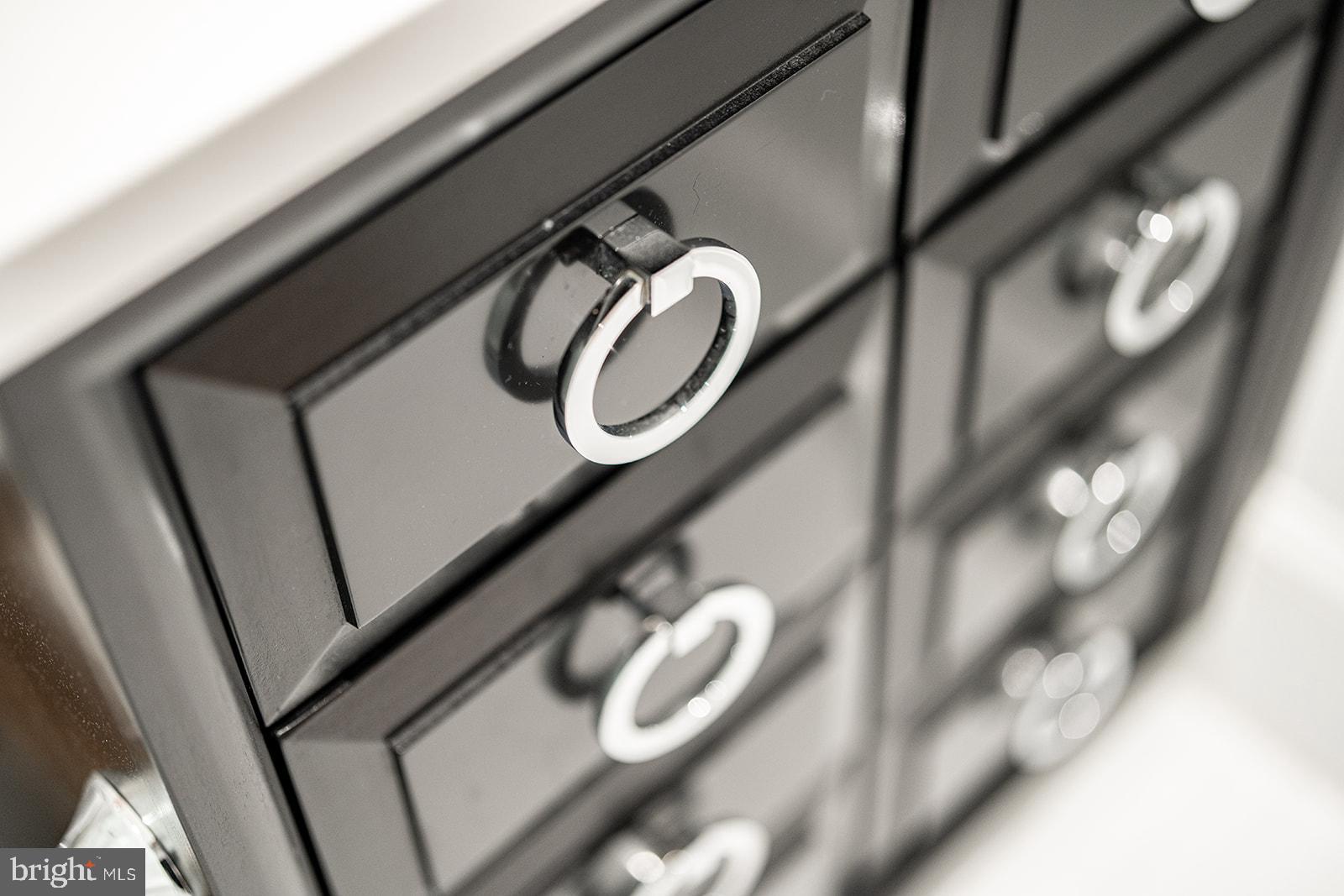 1309 R Street Northwest, Unit 1 Washington, DC 20009 - Photo 39 of 56 Show stopping details