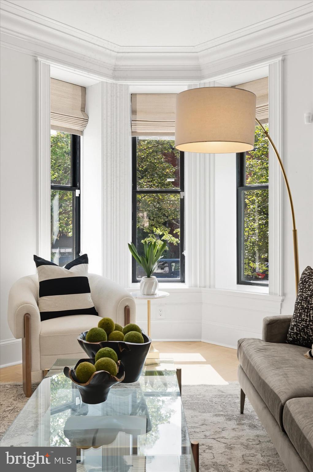 1309 R Street Northwest, Unit 1 Washington, DC 20009 - Photo 4 of 56 Gorgeous Architectural Detailing