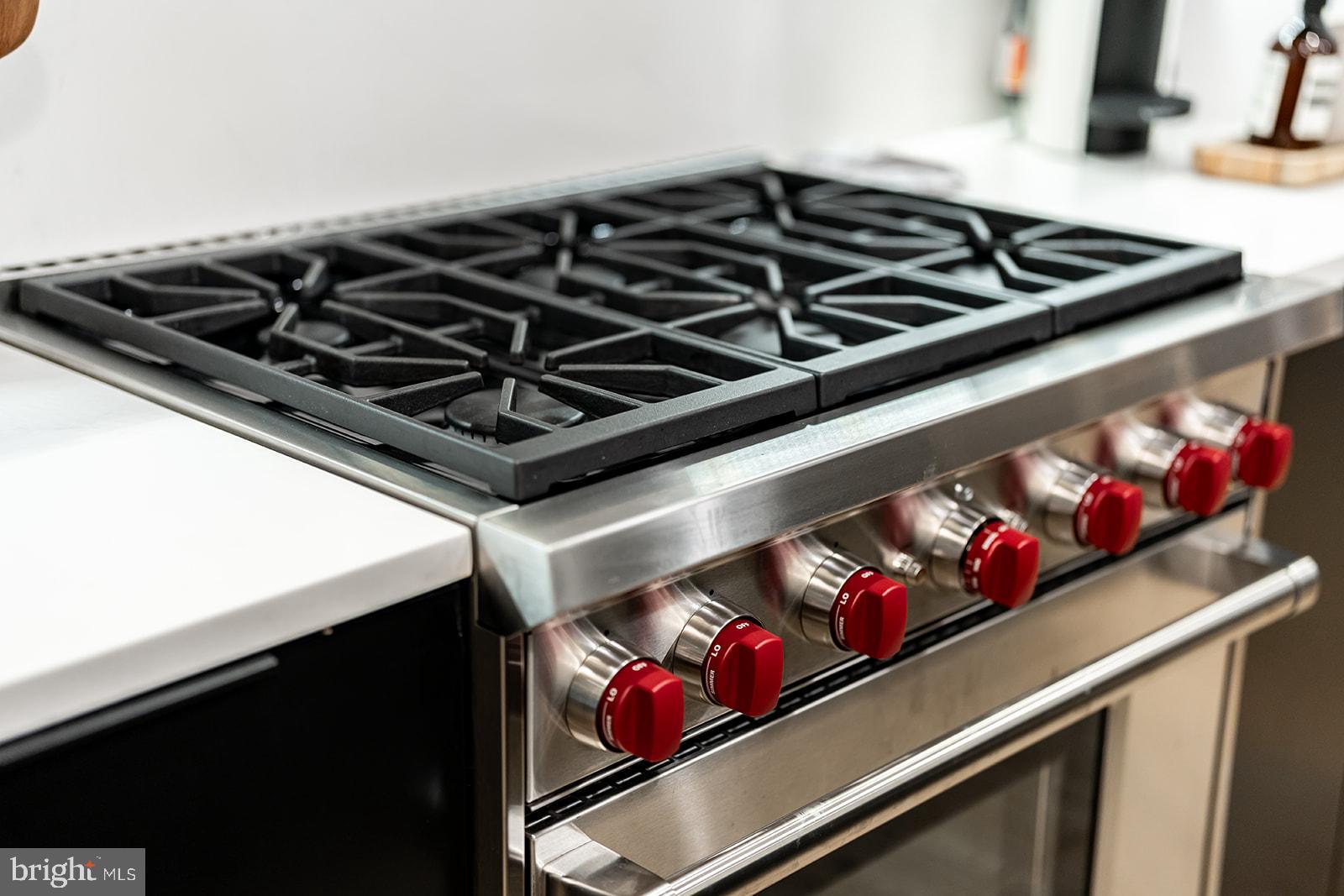 1309 R Street Northwest, Unit 1 Washington, DC 20009 - Photo 10 of 56 6 burner Wolf Range