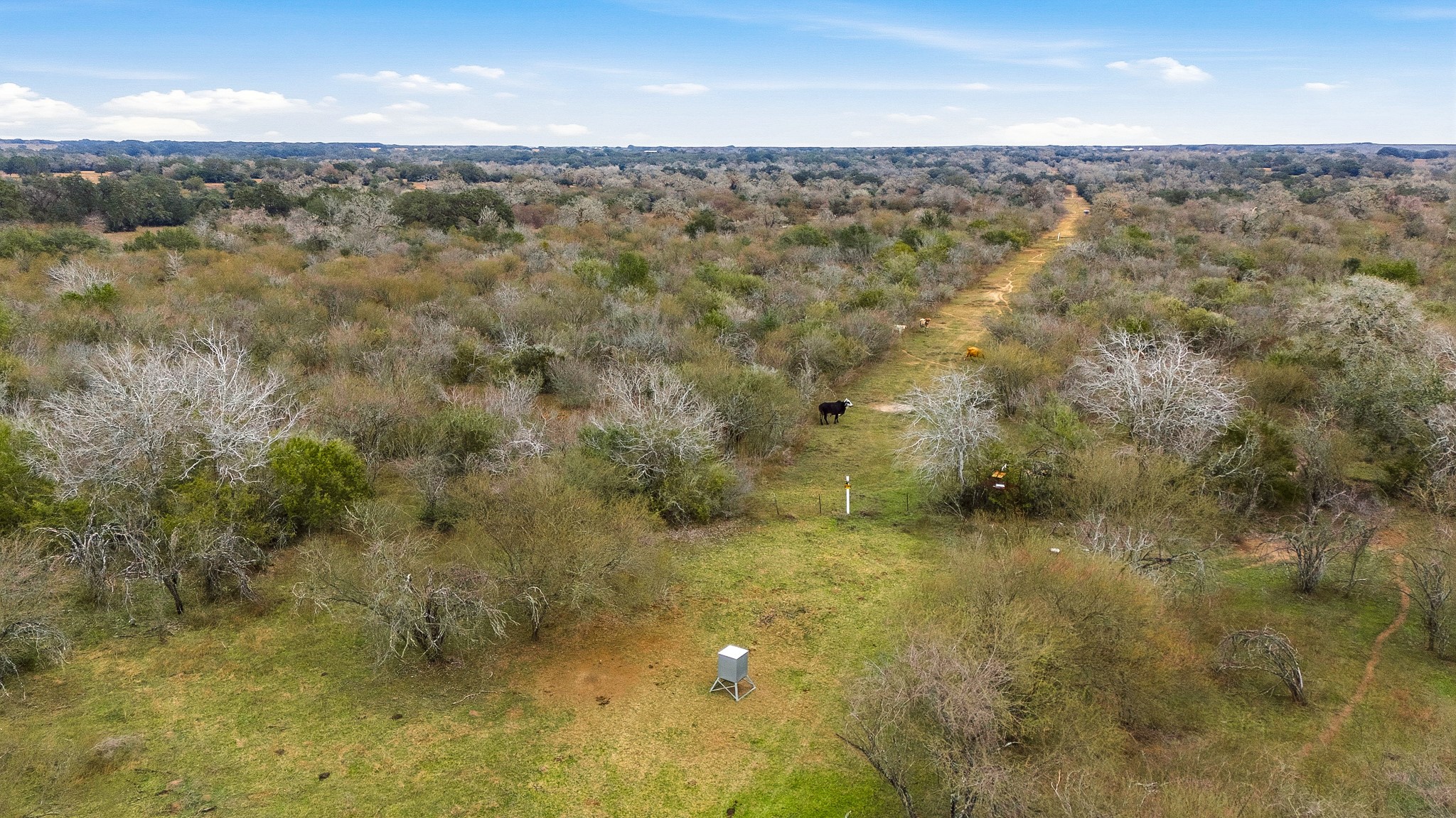 Tbd Tbd Mission Valley Road Cuero, TX 77954 - Photo 4 of 15 a view of outdoor space and mountain view