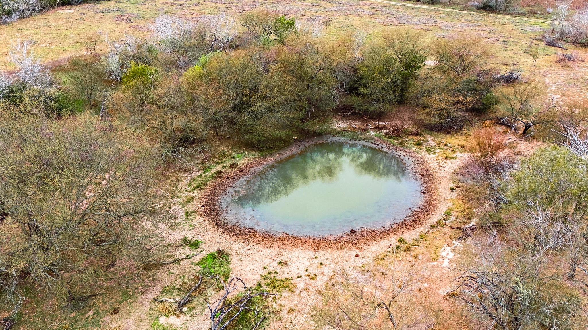 Tbd Tbd Mission Valley Road Cuero, TX 77954 - Photo 6 of 15 a view of a swimming pool